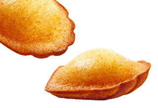 Madeleines (vanilla / chocolate)